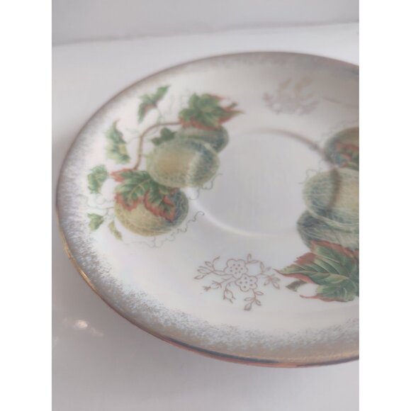 Vintage Tea Cup and Saucer Set Ucagco Ceramics Japana 1950's September Melons - Picture 10 of 13